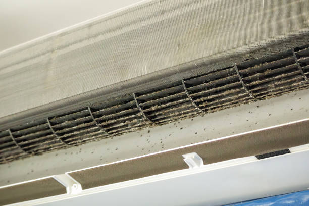 Best Dryer Vent Cleaning Services  in West Point, NE