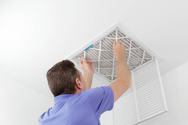 Best Affordable Duct Cleaning Services  in West Point, NE